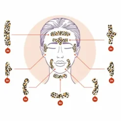 Facial Patches Animal Leo