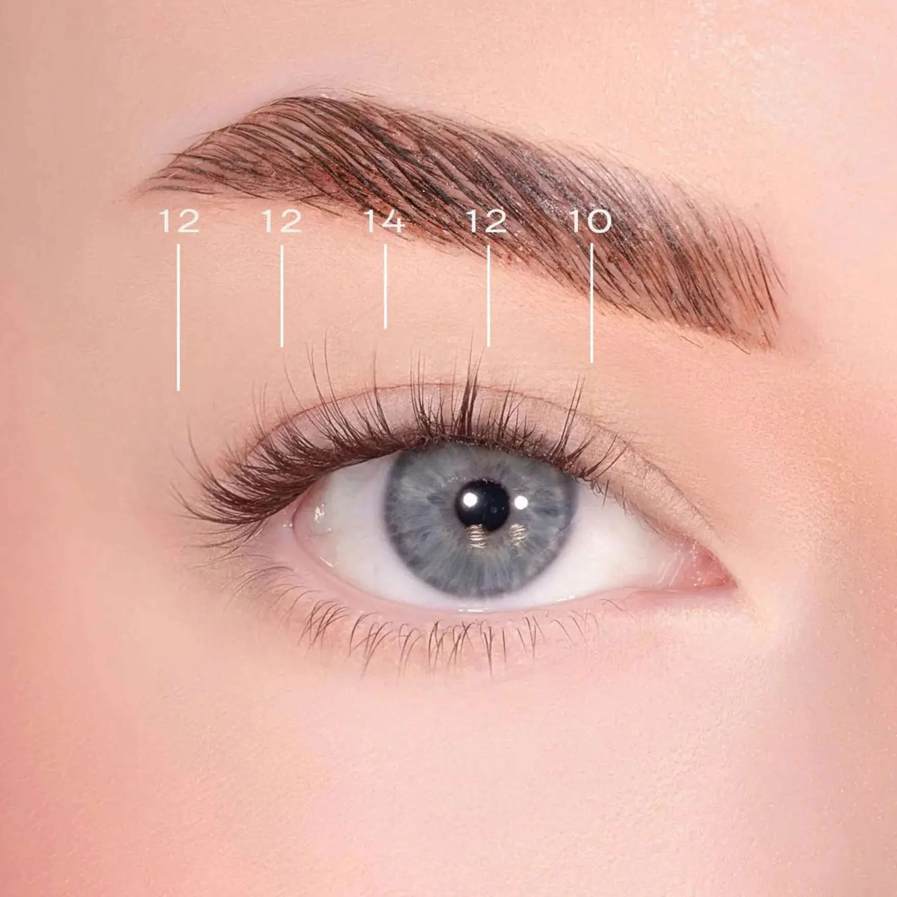 Feathered Dark Brown Pre-Glued Lashes