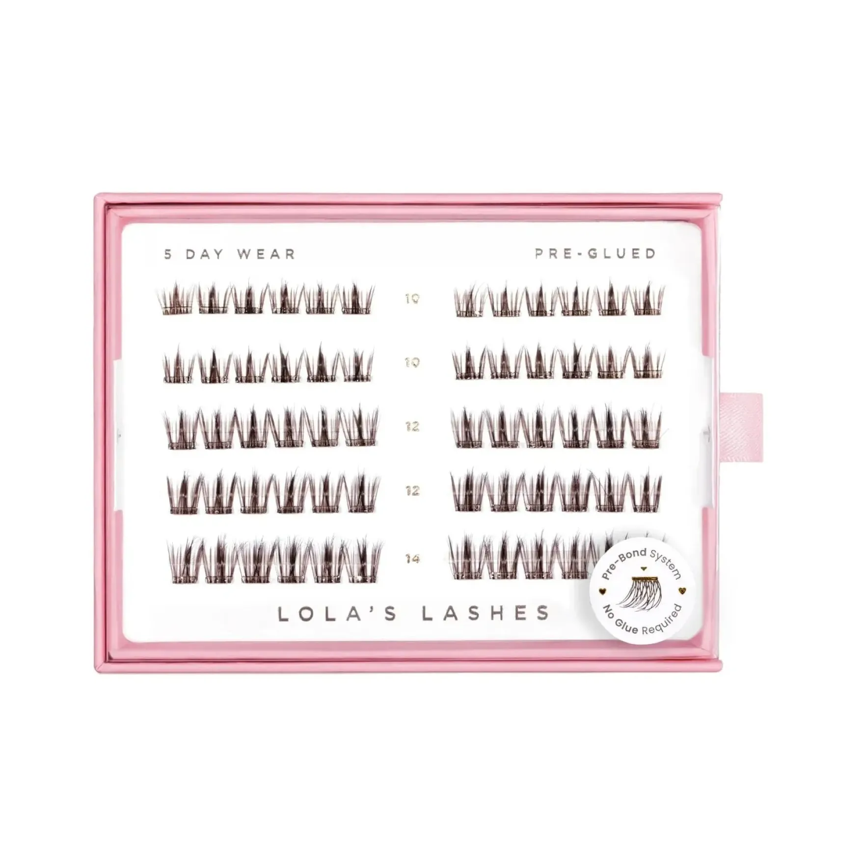 Feathered Dark Brown Pre-Glued Lashes