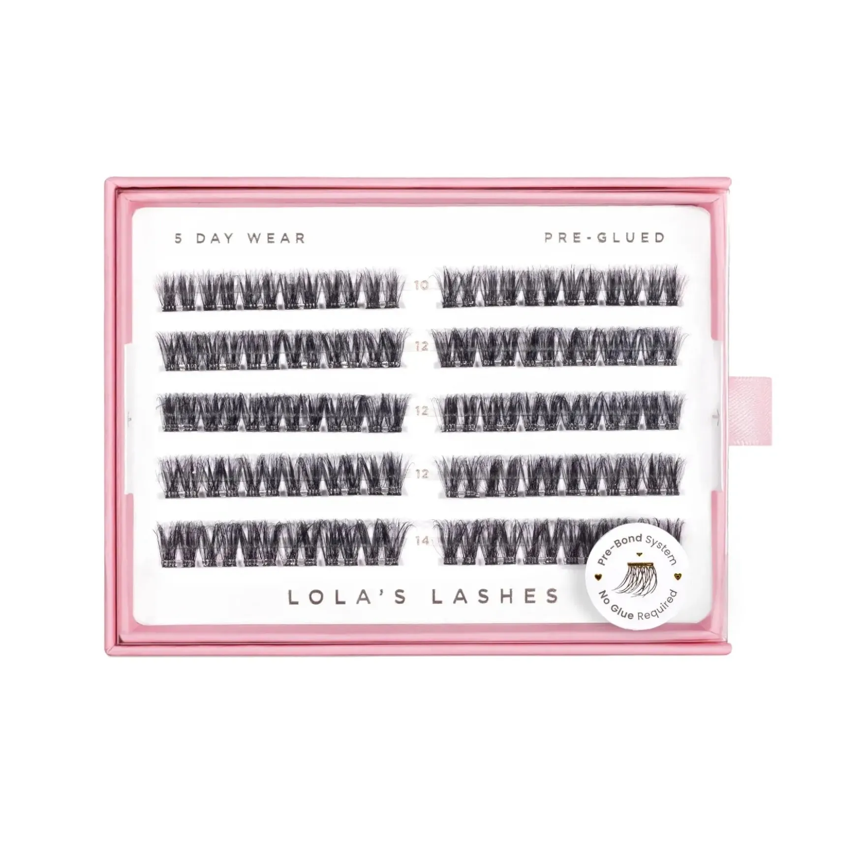 Feathered Volume Pre-Glued Lashes