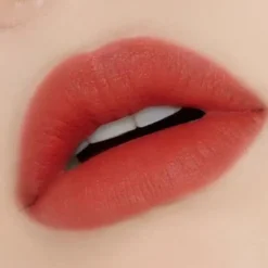Fixing Tint 02 Vintage Red