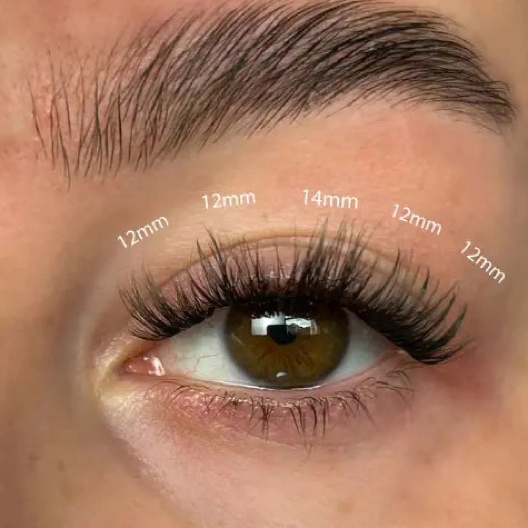 Fluffy Russian DIY Lash Extension Set
