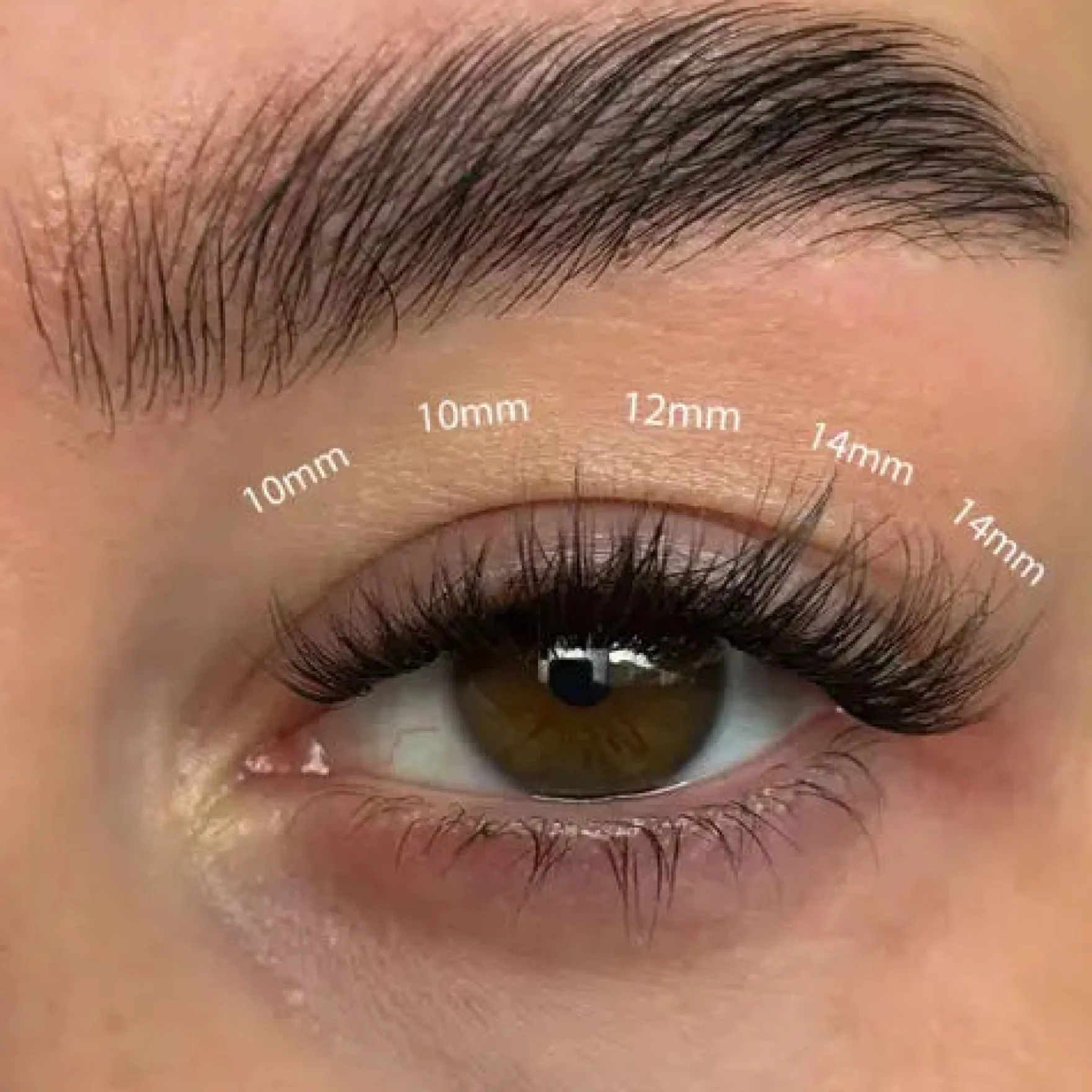 Fluffy Russian DIY Lash Extension Set