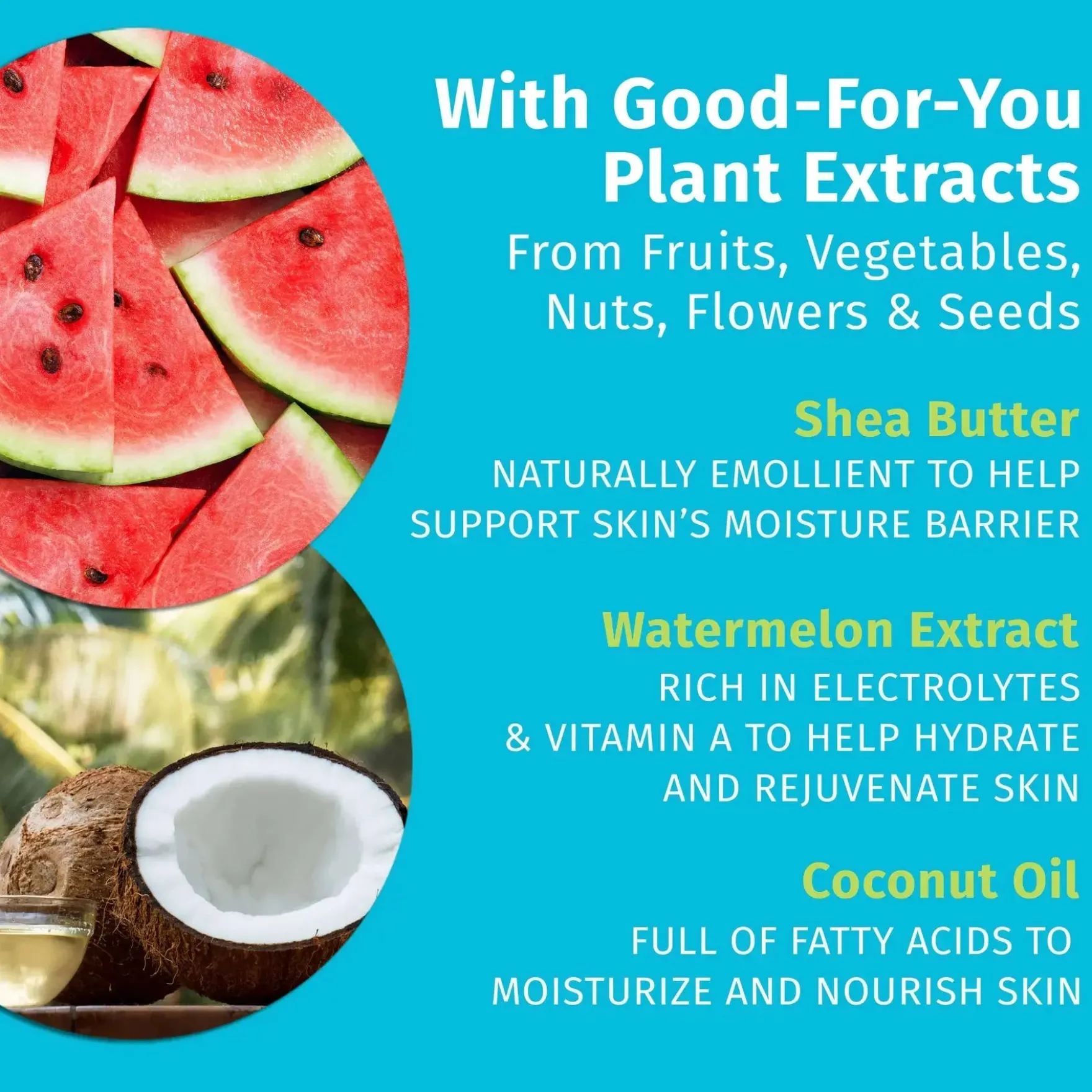 Fresh Coconut & Watermelon Herbal Body Moisturizer