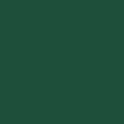 Gel Nail Colour 73 Emerald Energy