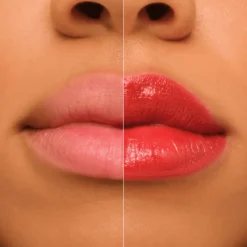 Glass Like Gloss Stick 060 Burnt Kiss