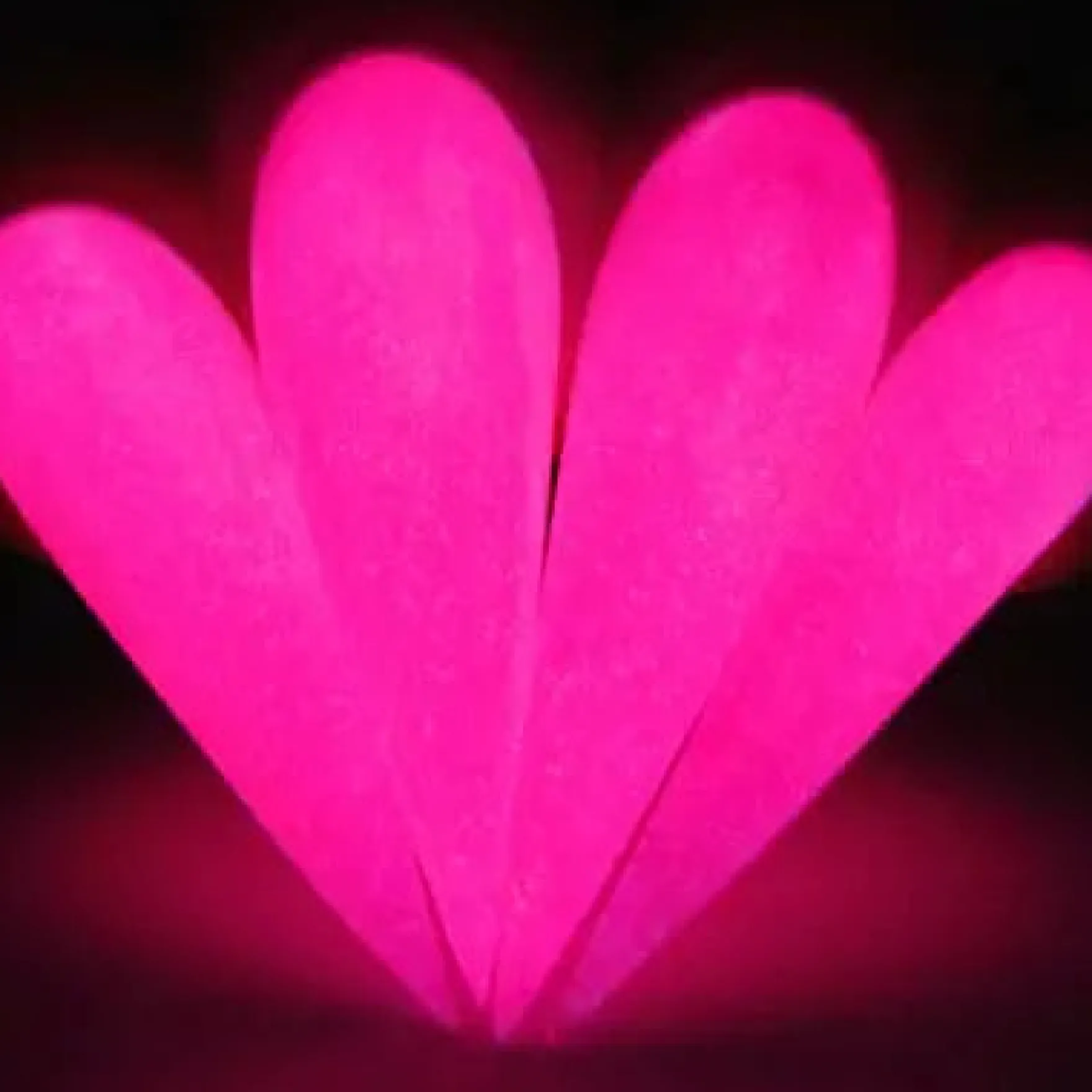 Glow Dip Powder Pinkaholic