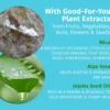 Glow Getter Herbal Body Moisturizer
