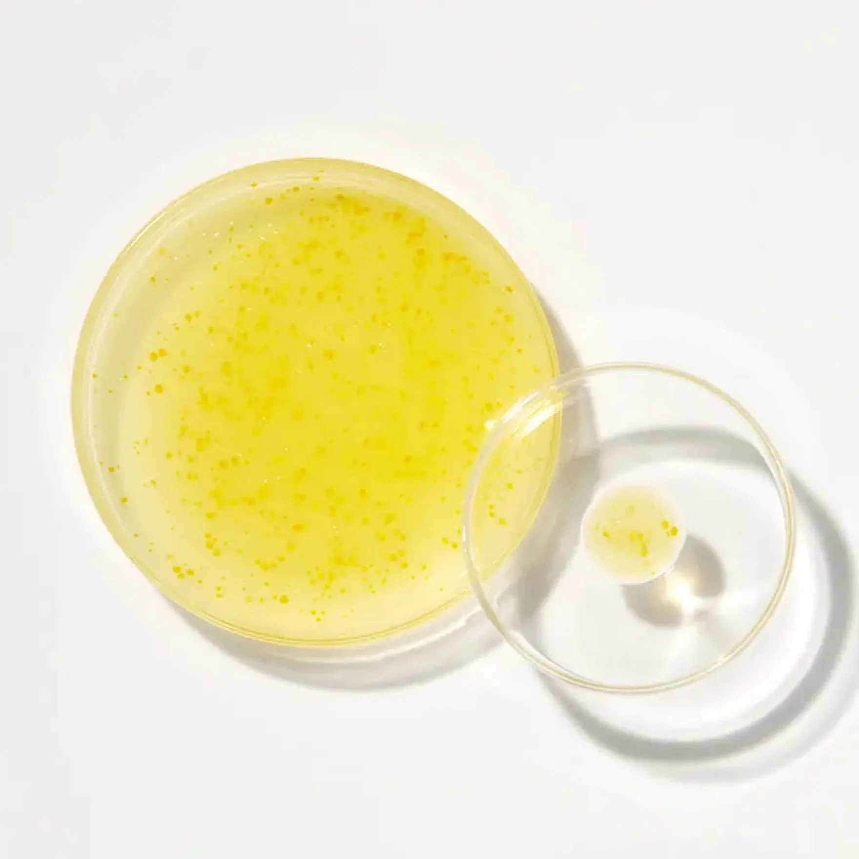 Glow Serum: Niacinamide 15% + Yuja