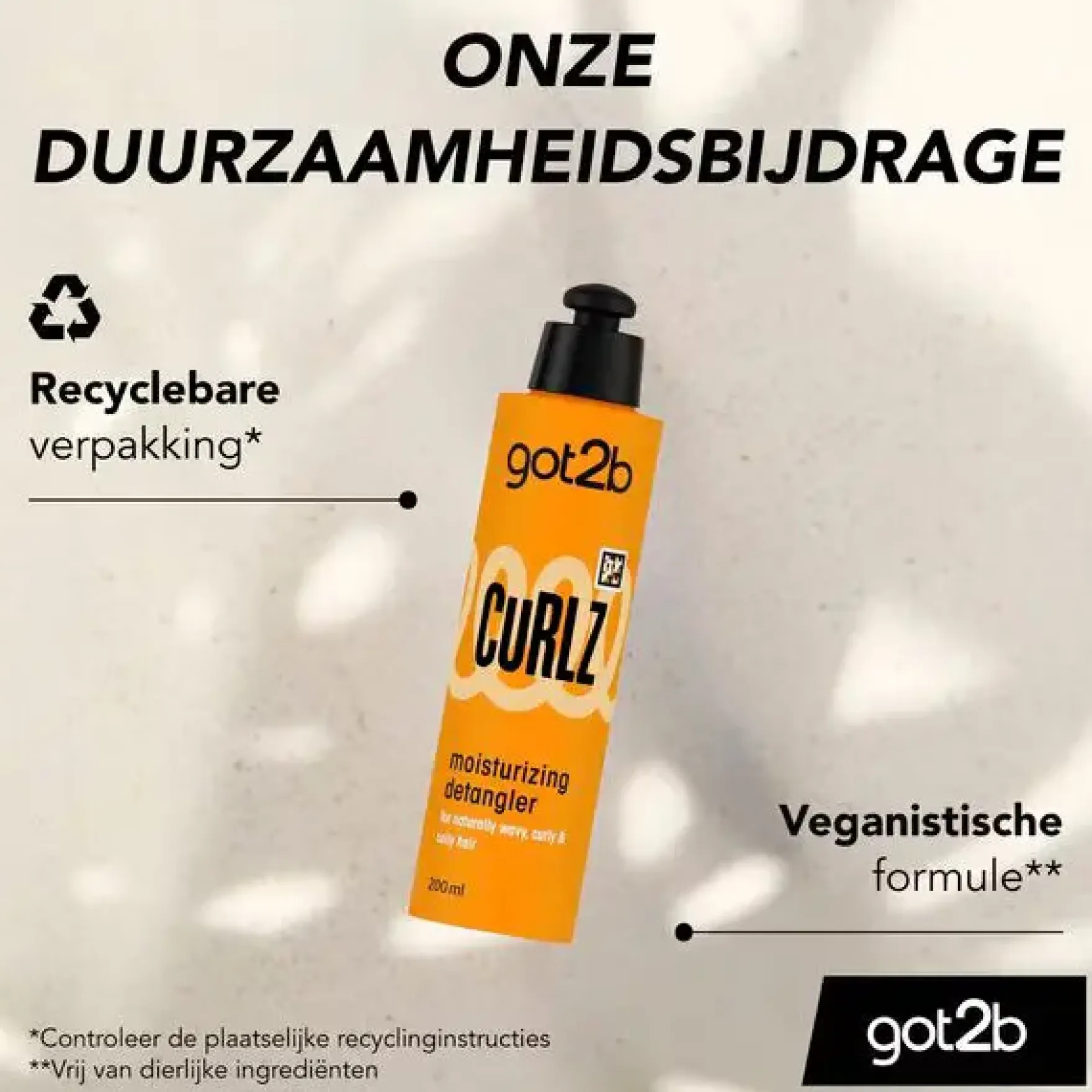 Got2b Curlz Moisturizing Detangler