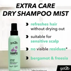 Got2b Extra Care Dry Shampoo Mist