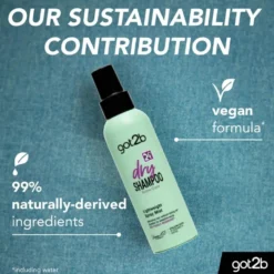 Got2b Extra Care Dry Shampoo Mist