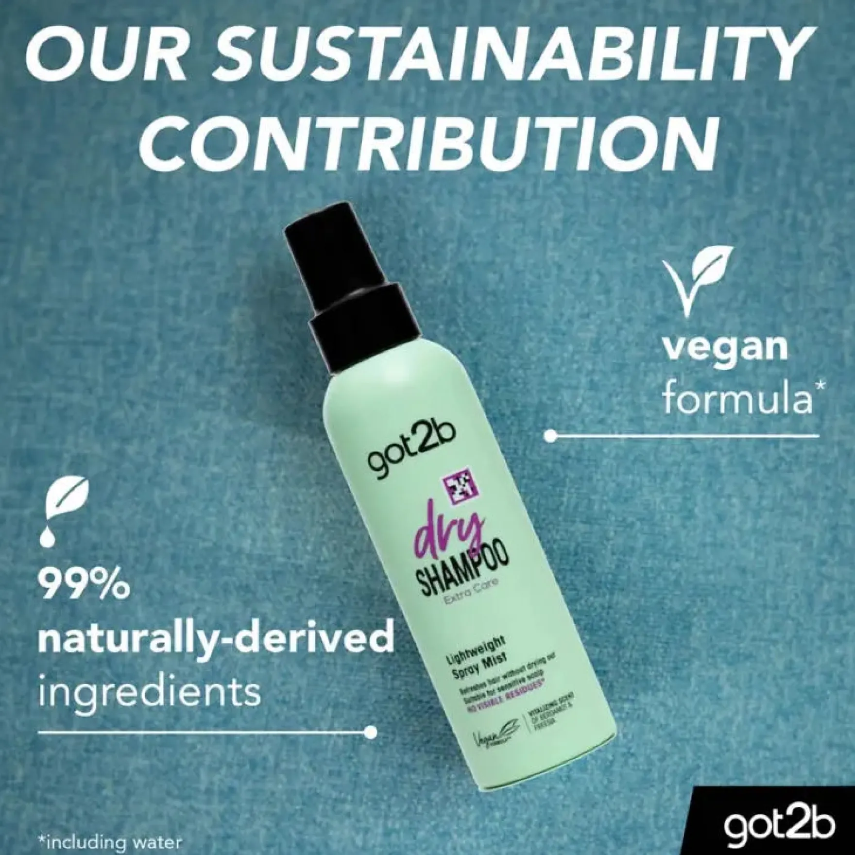 Got2b Extra Care Dry Shampoo Mist