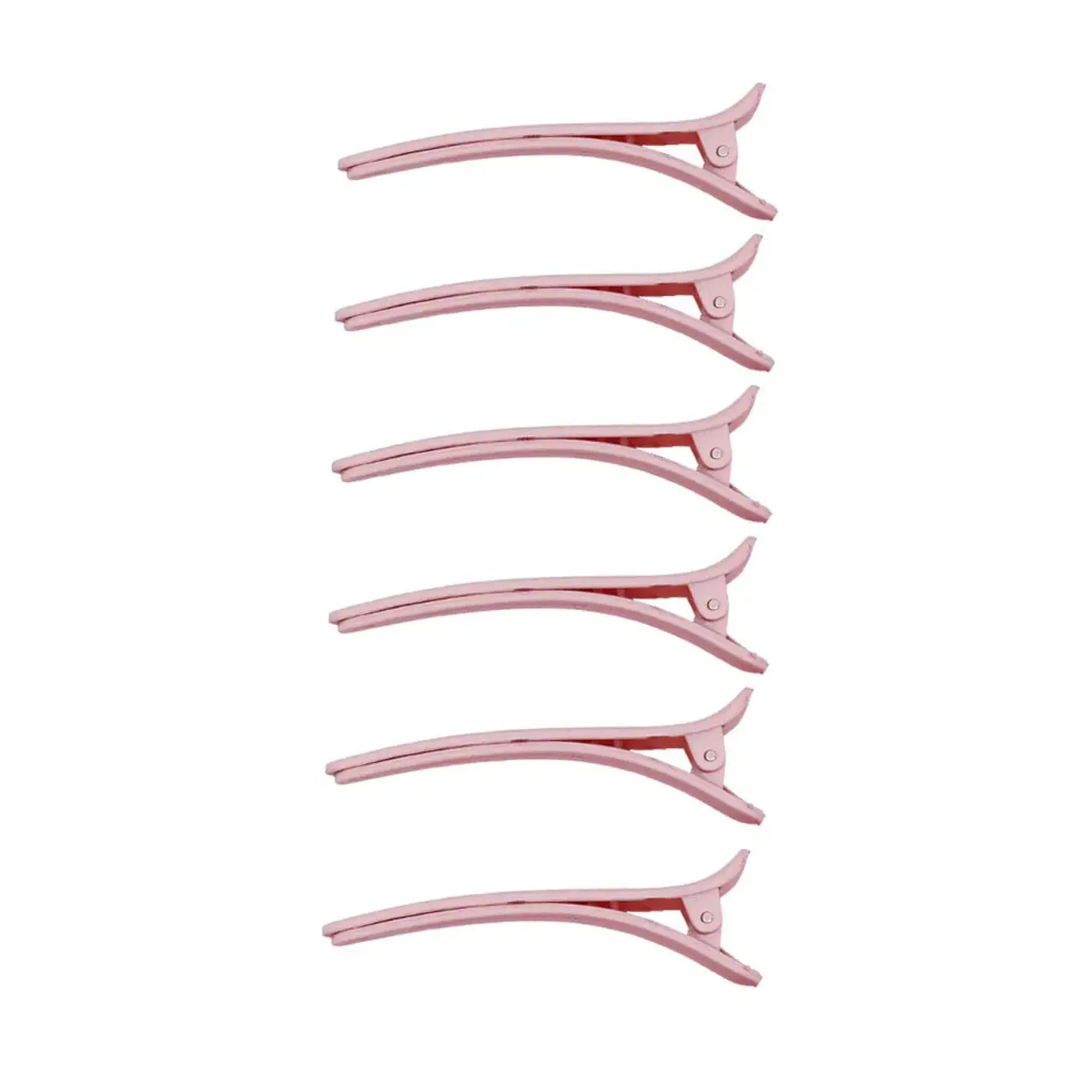 Hair Rollers & Clips 6 pc