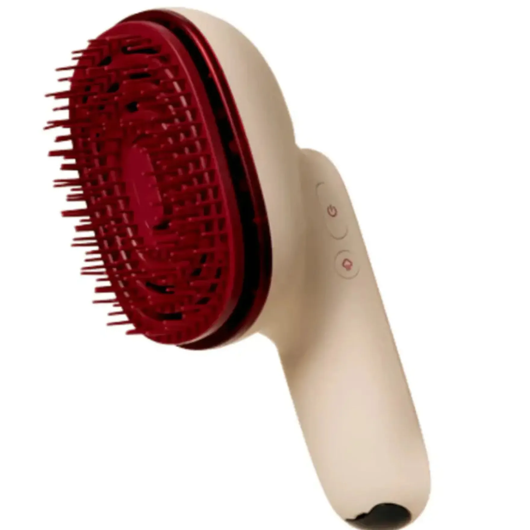 Hair Steamer Pro