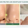 Heartleaf Pore Control Cleansing Oil 20 ml.