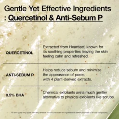 Heartleaf Quercetinol Pore Deep Cleansing Foam