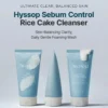 Hyssop Sebum Control Rice Cake Cleanser