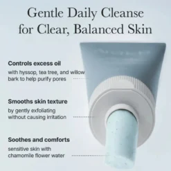 Hyssop Sebum Control Rice Cake Cleanser