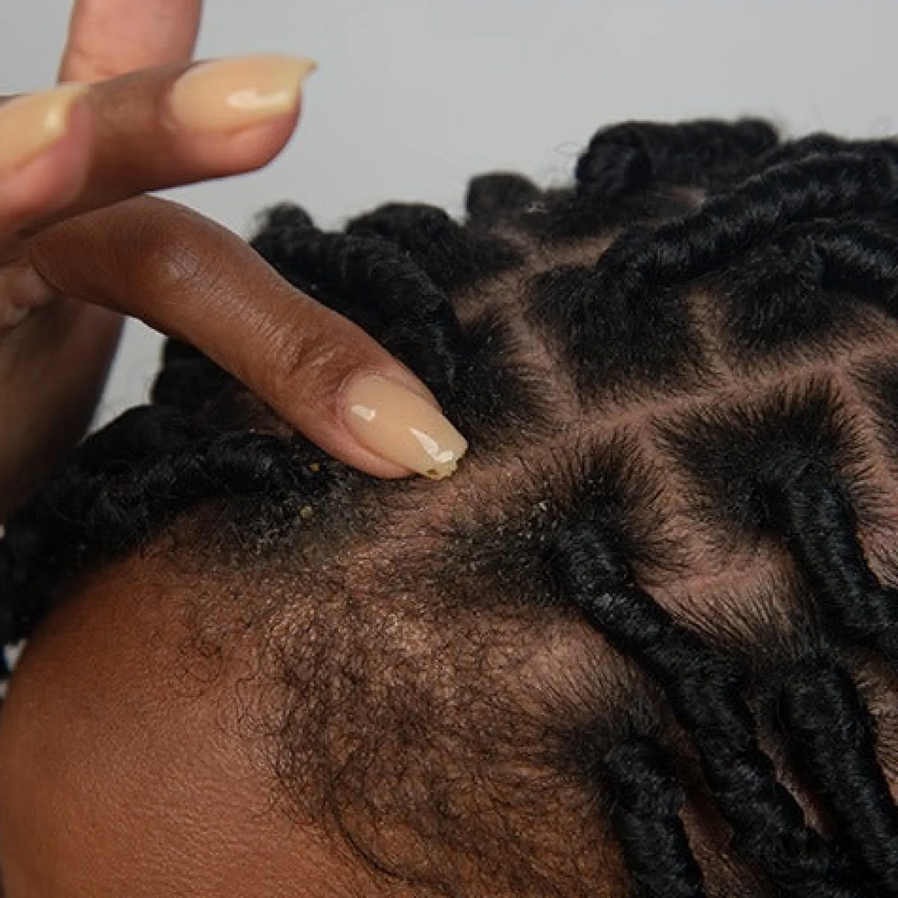 Indian Hemp Hair & Scalp