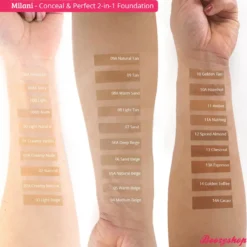 2-in-1 Foundation and Concealer