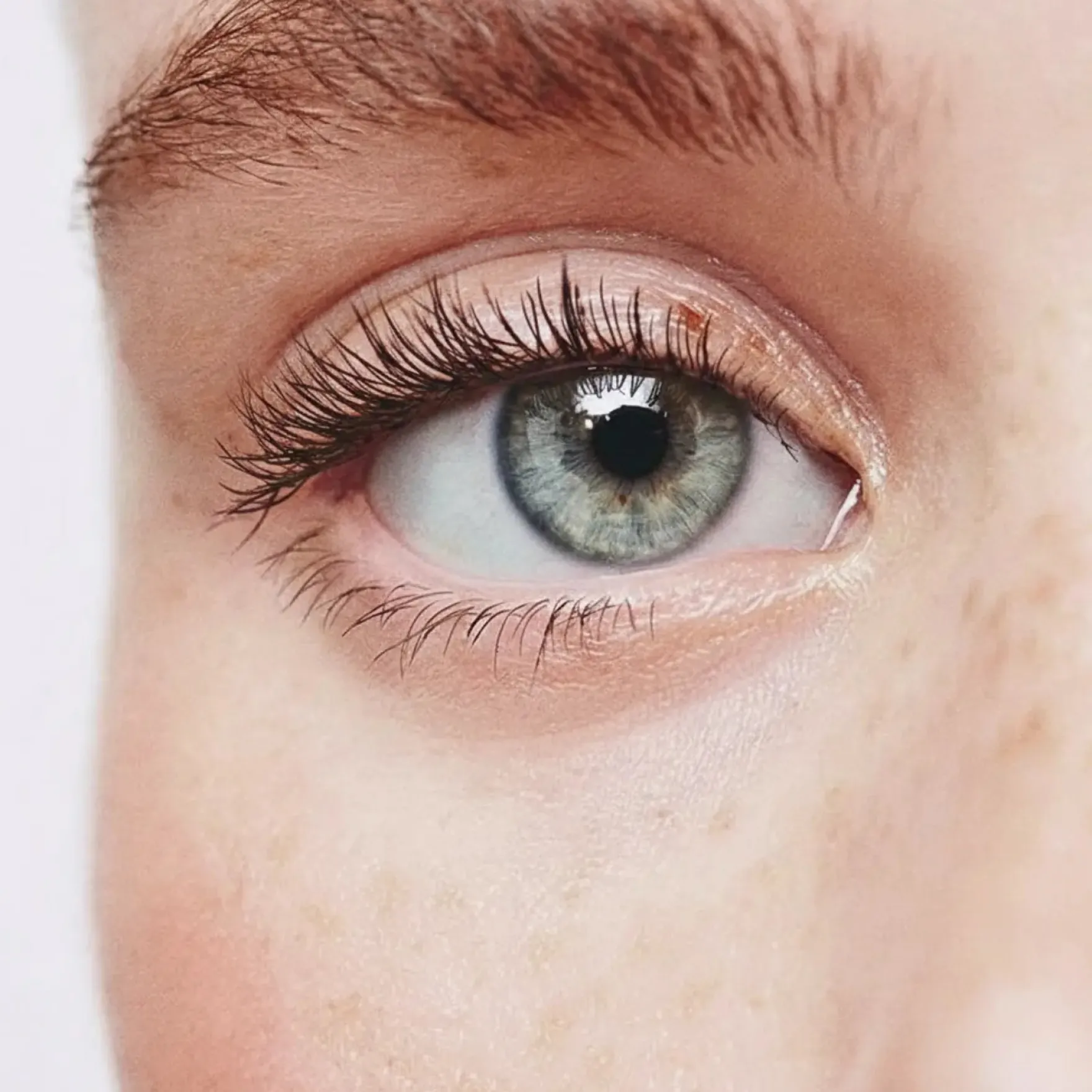 Invisible Bands Lashes Romy