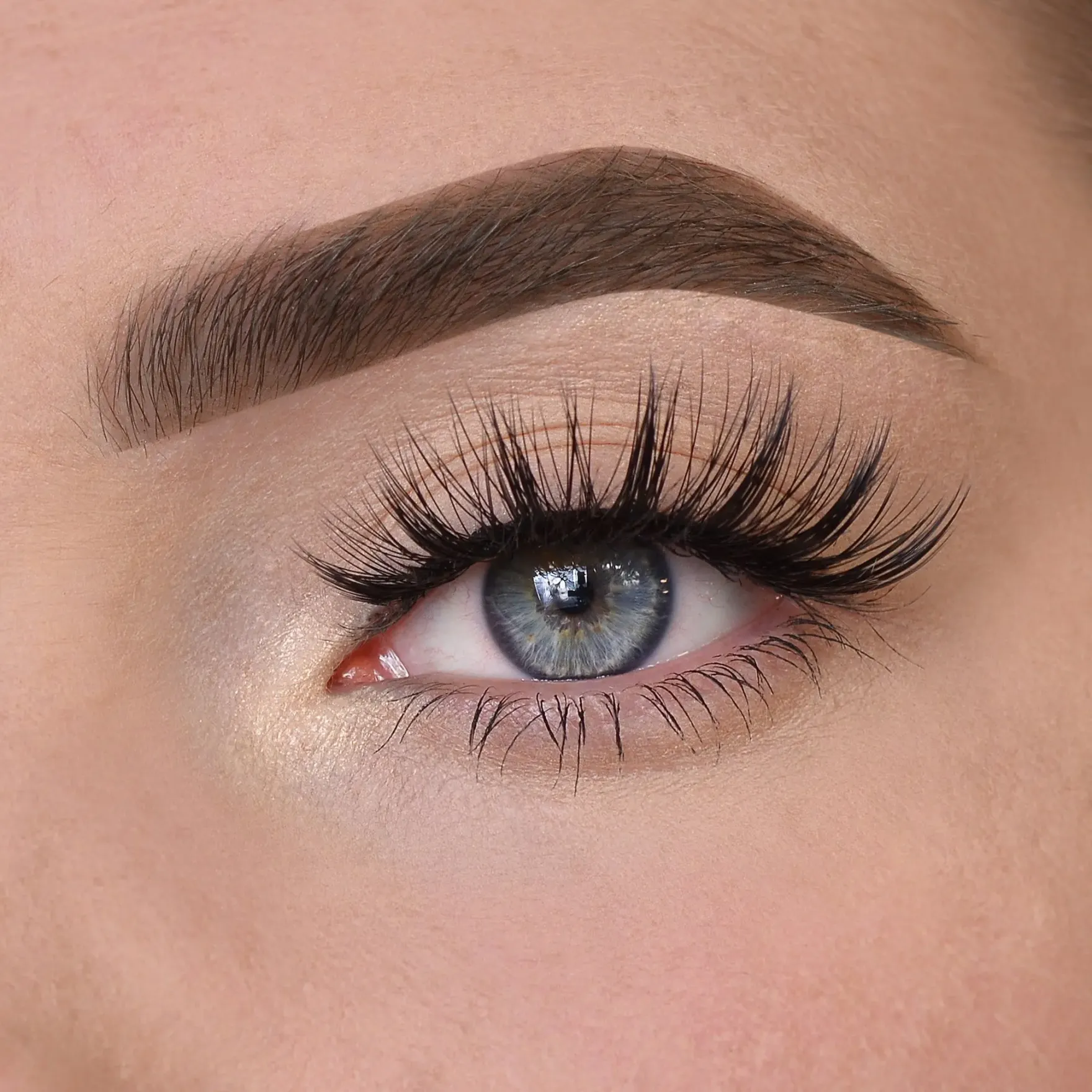 Ivy Lashes