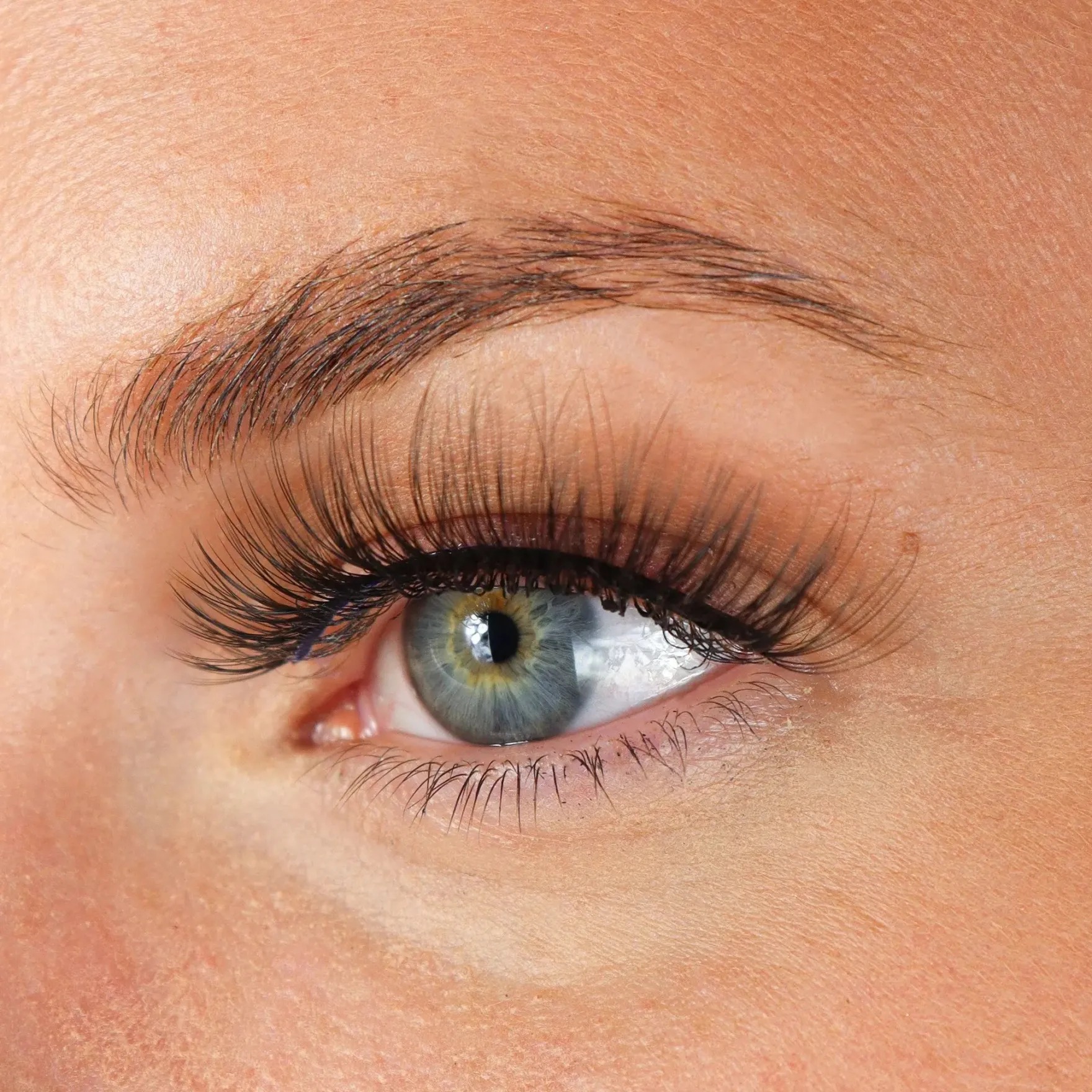 Lashes Armanda