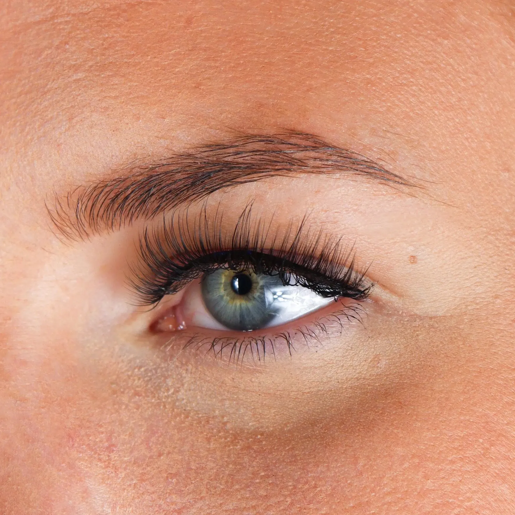 Lashes Maxime