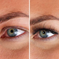 Lashes Maxime