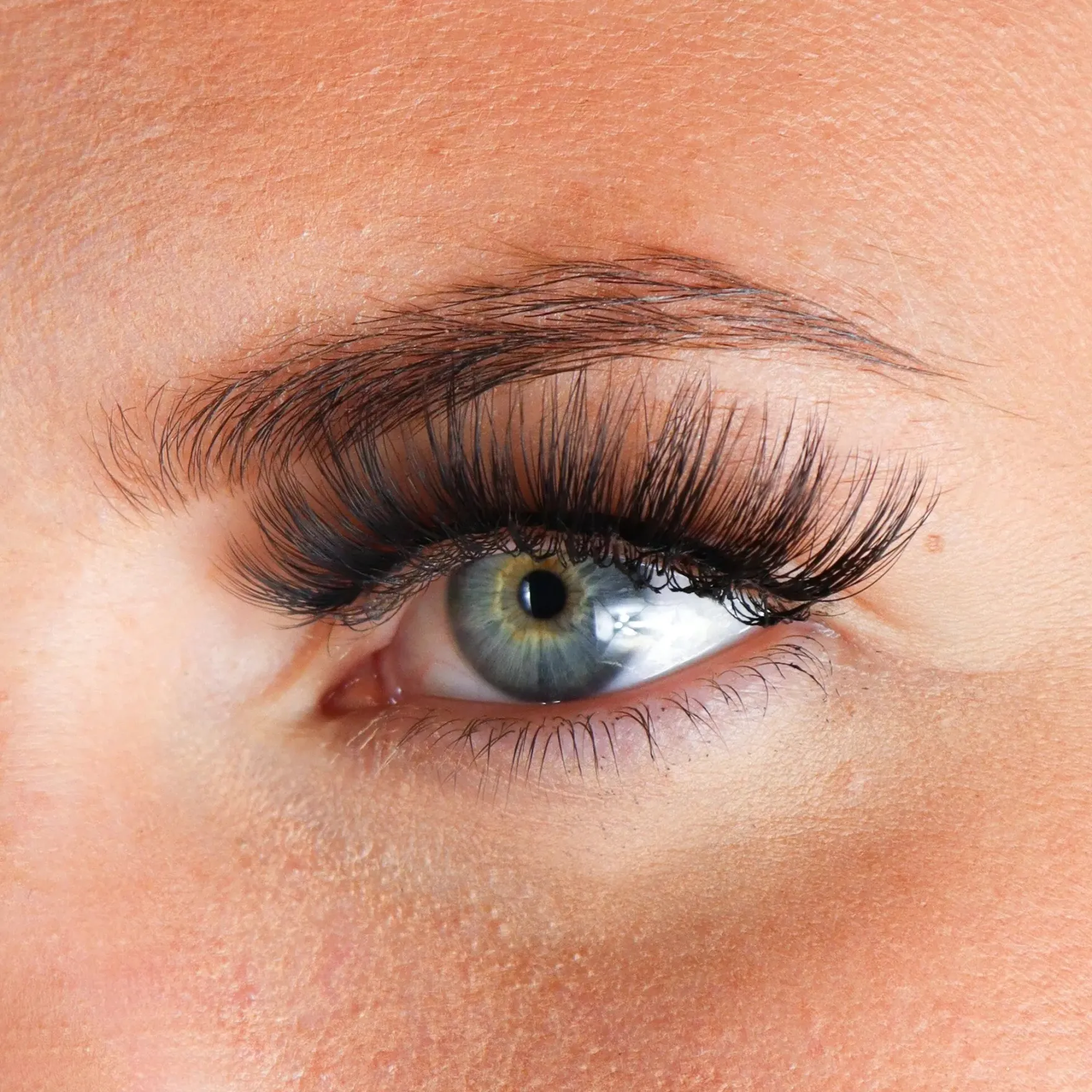 Lashes Tisha