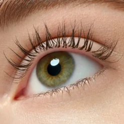 Lash Princess False Lash Effect Mascara Black Brown