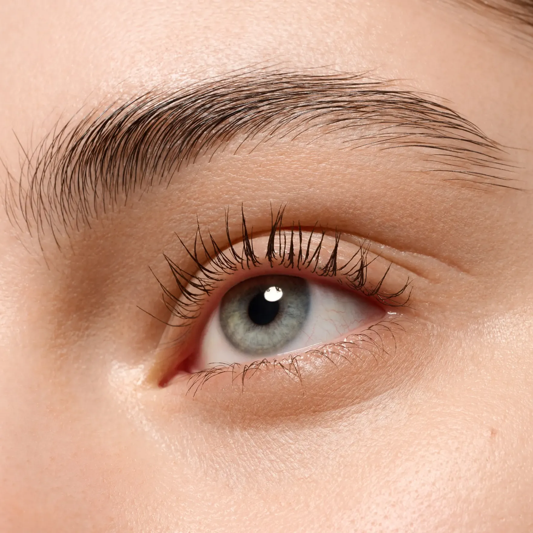 Lash Without Limits Tubing Brown Extreme Lengthening & Volume Mascara 05 Brown Tubing