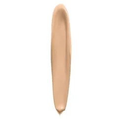 Lasting Perfection Concealer