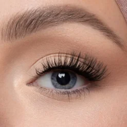Lina Half Lashes