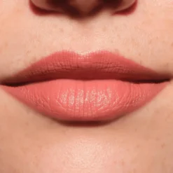 Lip Artist Matte Lipstick & Liner 030 Best Friends Forever