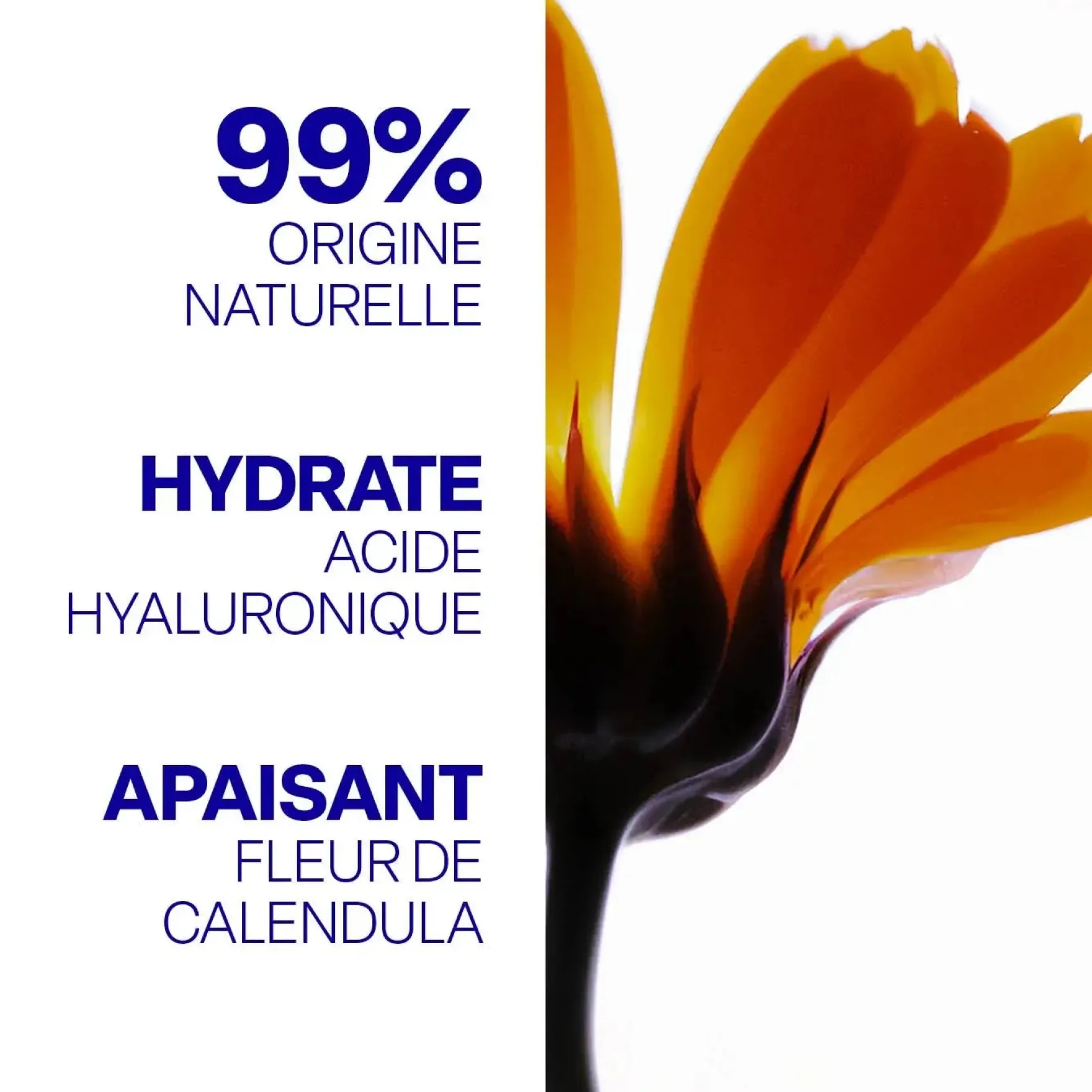 Liquid Eyeshadow & Highlighter Spicy Chocolate