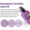 Macadamia Hair Serum Amber Vanilla