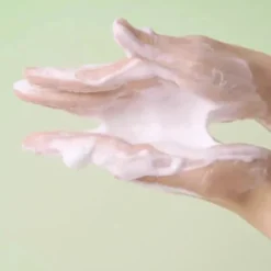 Madagascar Centella Tea-Trica Bha Foam
