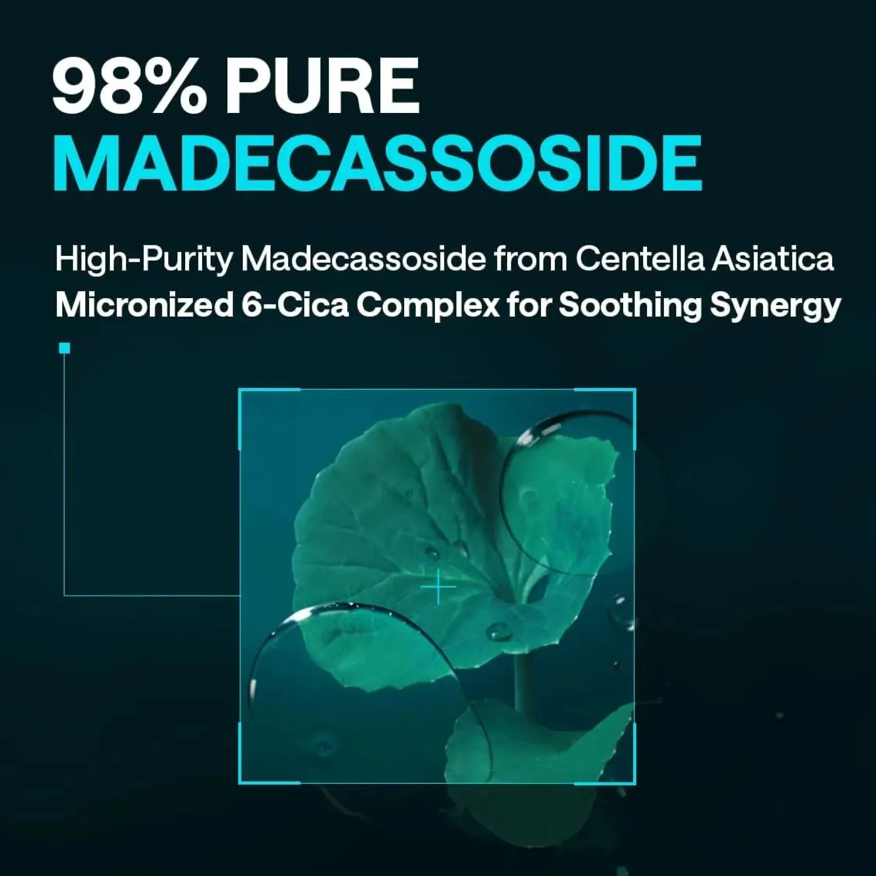 Madecassoside Blemish Pad