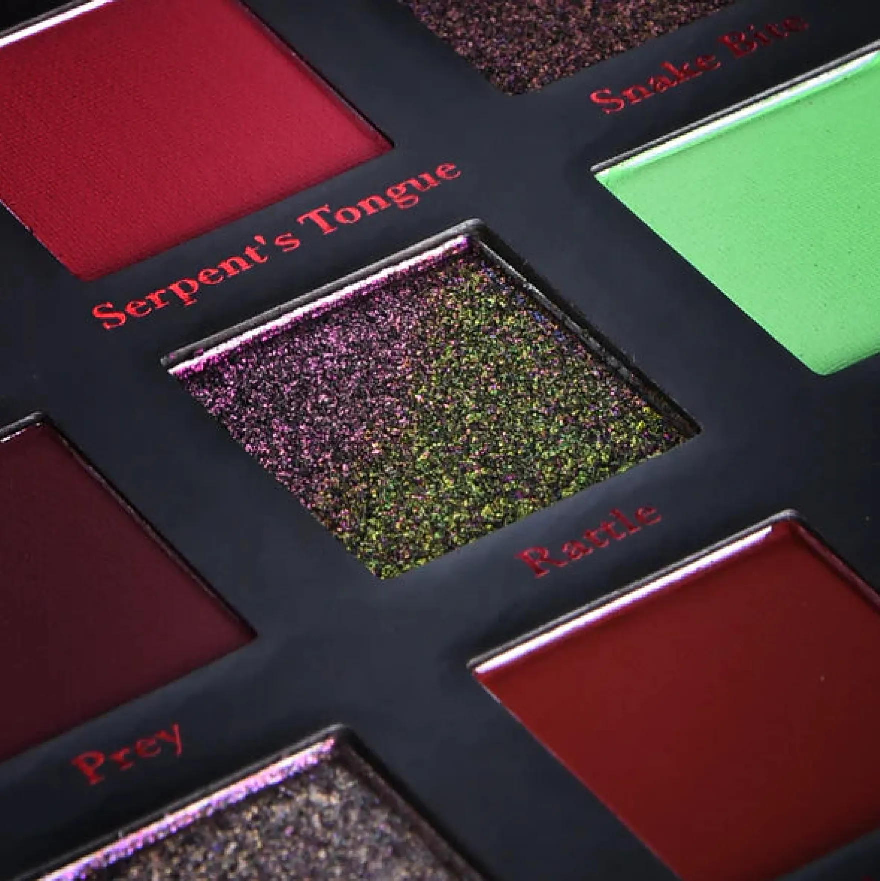 Magnetic™ Pressed Powder Palette Serpentine