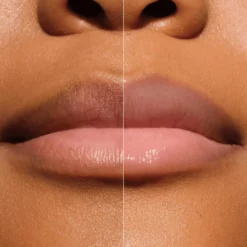 Melt & Plump Juicy Lip Plumper 010 More Amore