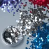 Moon Glitter Chunky Glitter Silver