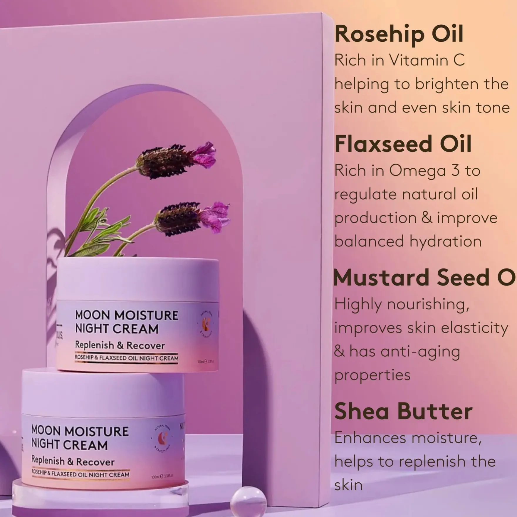 Moon Moisture Nourishing Night Cream