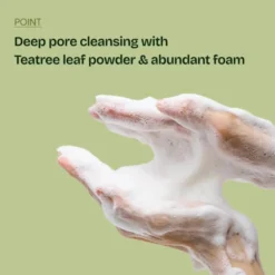 Mugwort Zero Film Cleansing Foam