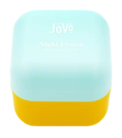 Night Cream Nourishing