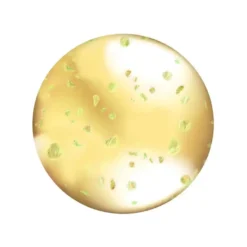 Nourishing Lip Oil Hunnybun