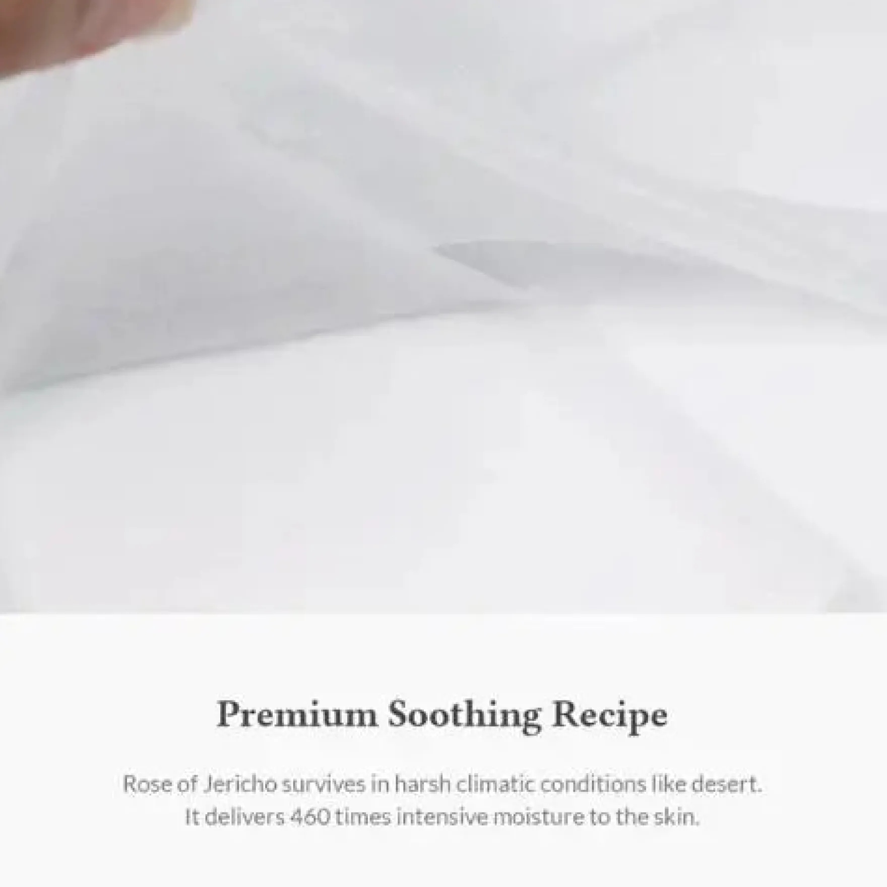 Oasis Soothing Mask