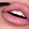 Outline Waterproof Lip Pencil Fierce Nut