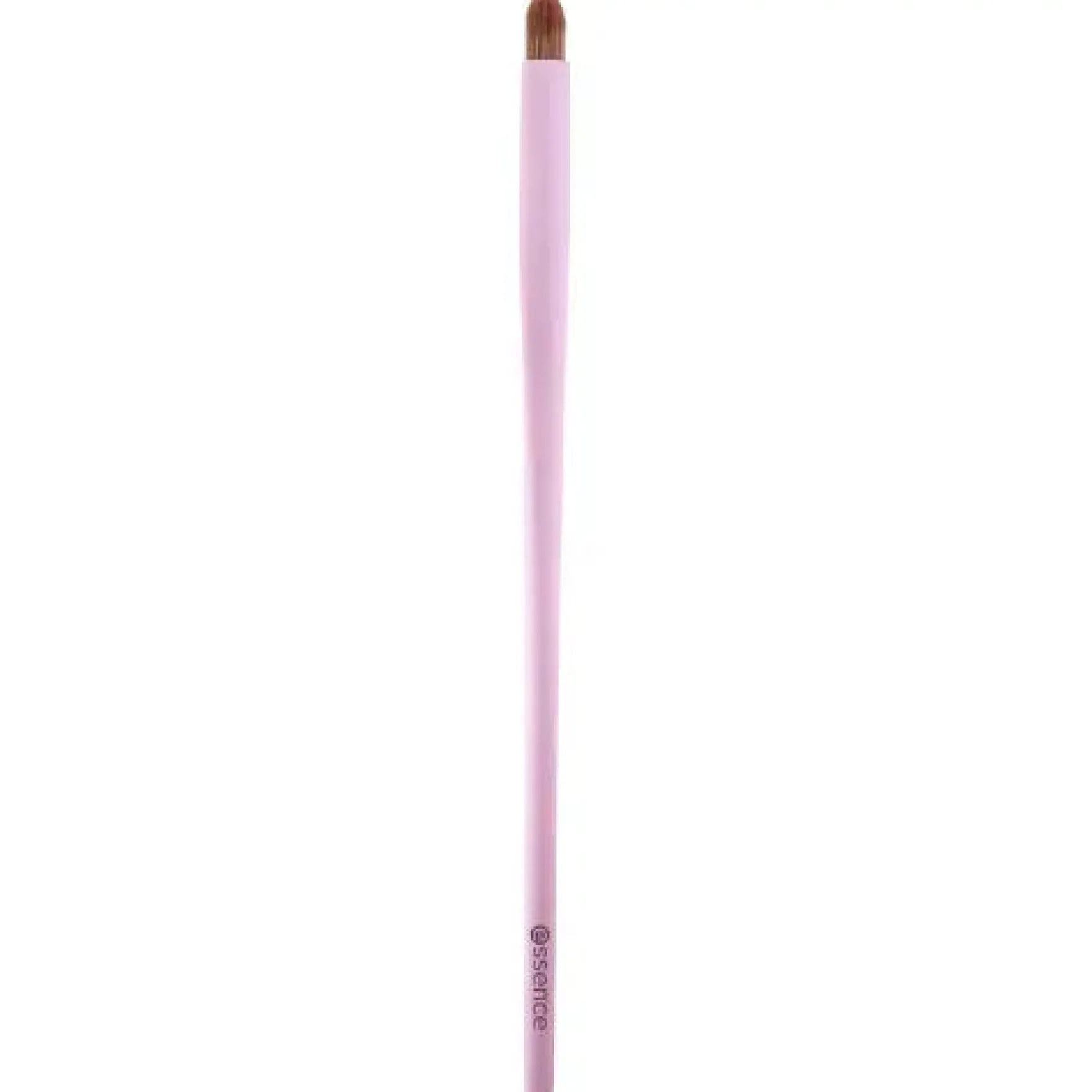 Pencil Brush 01 Precision Meets Perfection